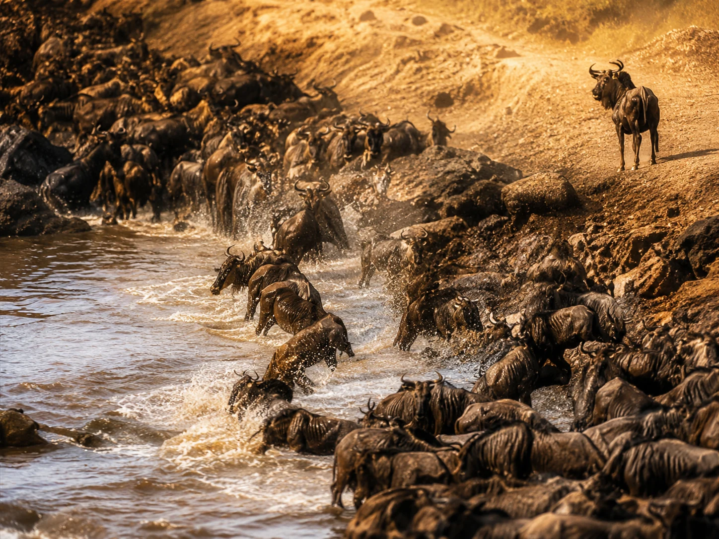 3-Day Masai Mara Safari