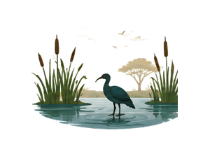 Lorian Swamp illustration